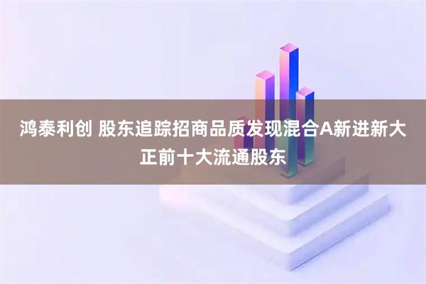 鸿泰利创 股东追踪招商品质发现混合A新进新大正前十大流通股东
