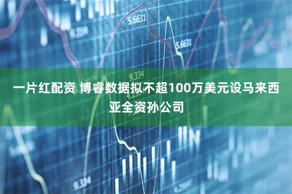 一片红配资 博睿数据拟不超100万美元设马来西亚全资孙公司