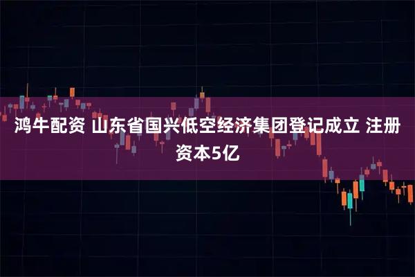 鸿牛配资 山东省国兴低空经济集团登记成立 注册资本5亿