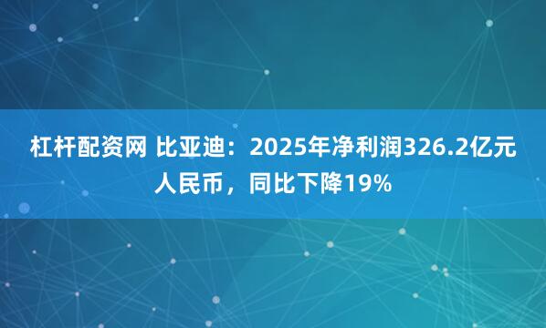 杠杆配资网 比亚迪：2025年净利润326.2亿元人民币，同比下降19%