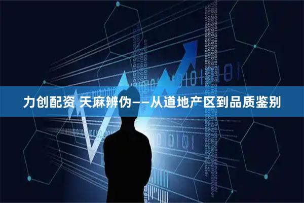 力创配资 天麻辨伪——从道地产区到品质鉴别